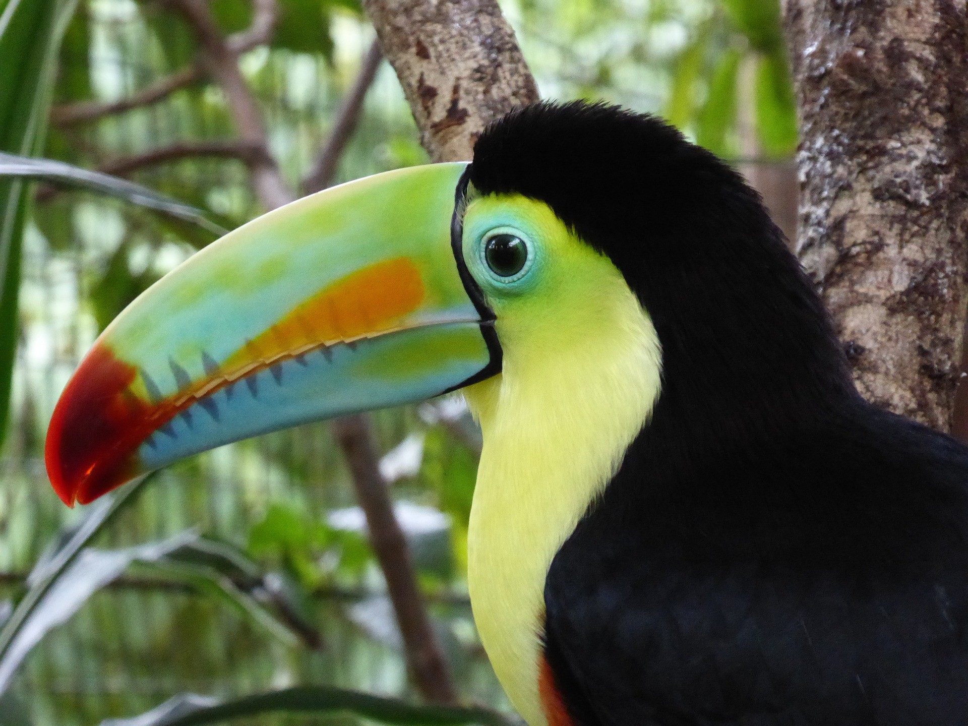 Costa Rica :Paisajes Tropicales y Guanacaste