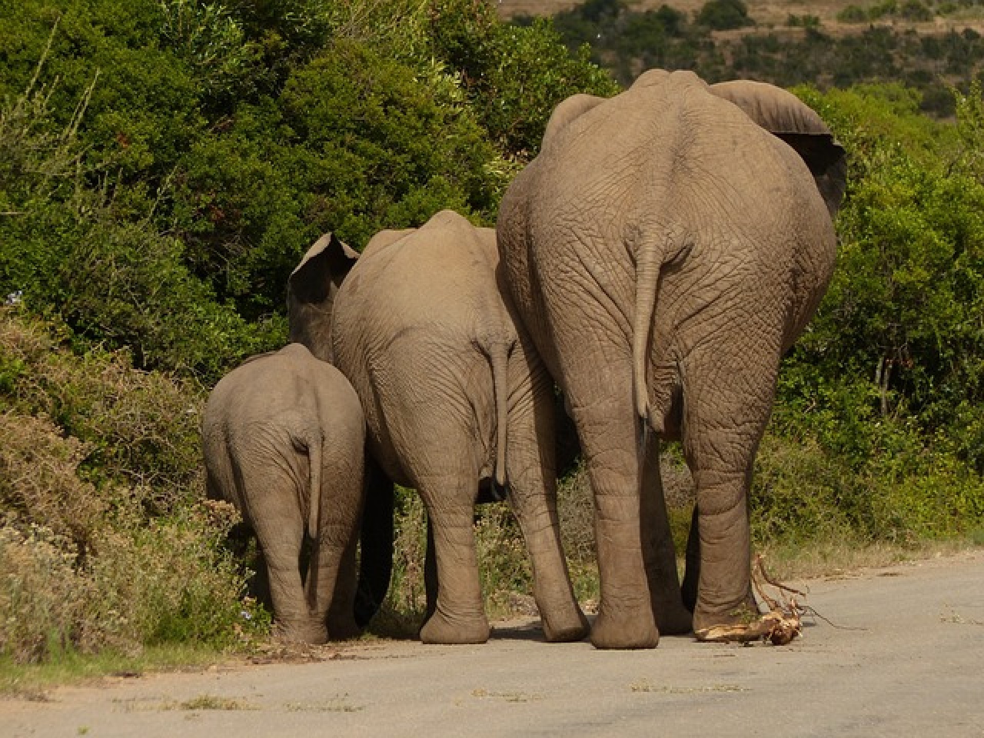 Viaje a Sudáfrica para mayores de 60 años y sus acompañantes