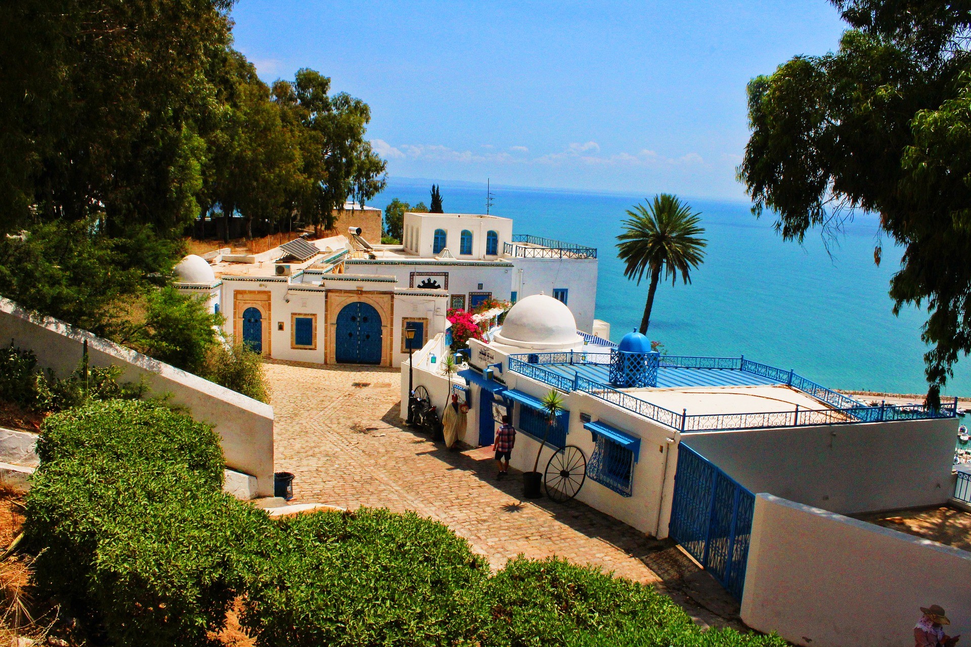 Túnez esencial y Playas
