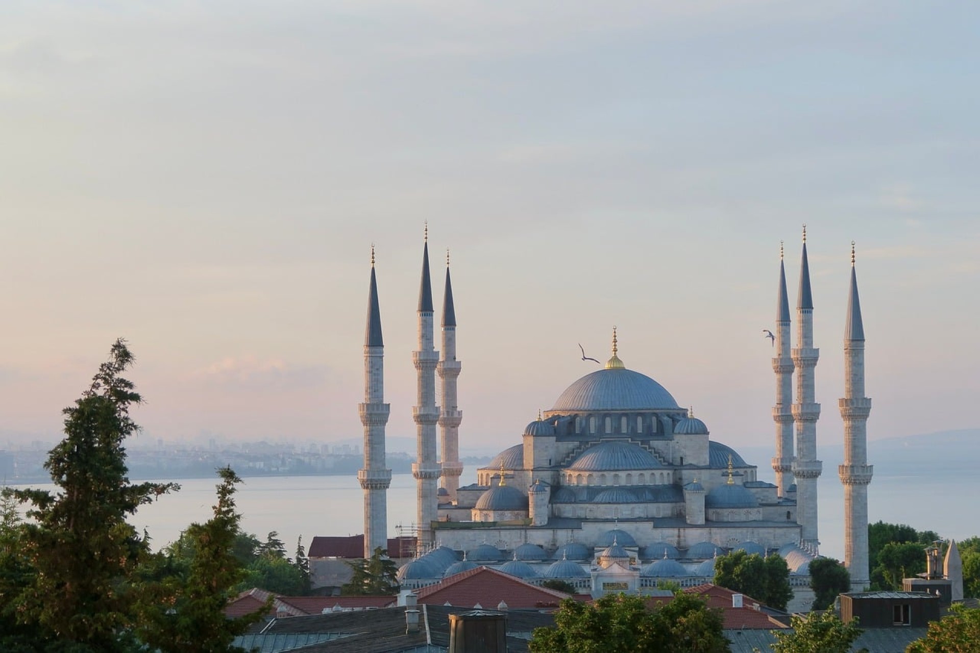 Turqu&iacute;a para singles