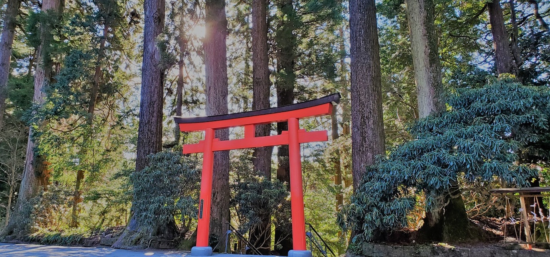 Jap&oacute;n con gu&iacute;a de habla Hispana