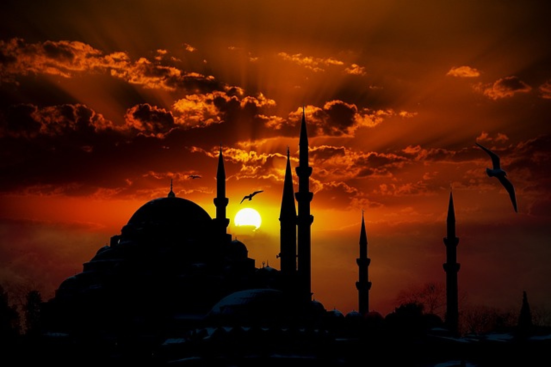 Viaje Turquía al completo con Estambul