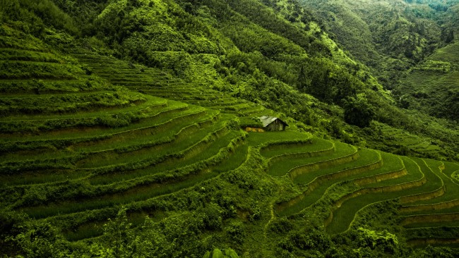 Esencia de Vietnam con Sapa