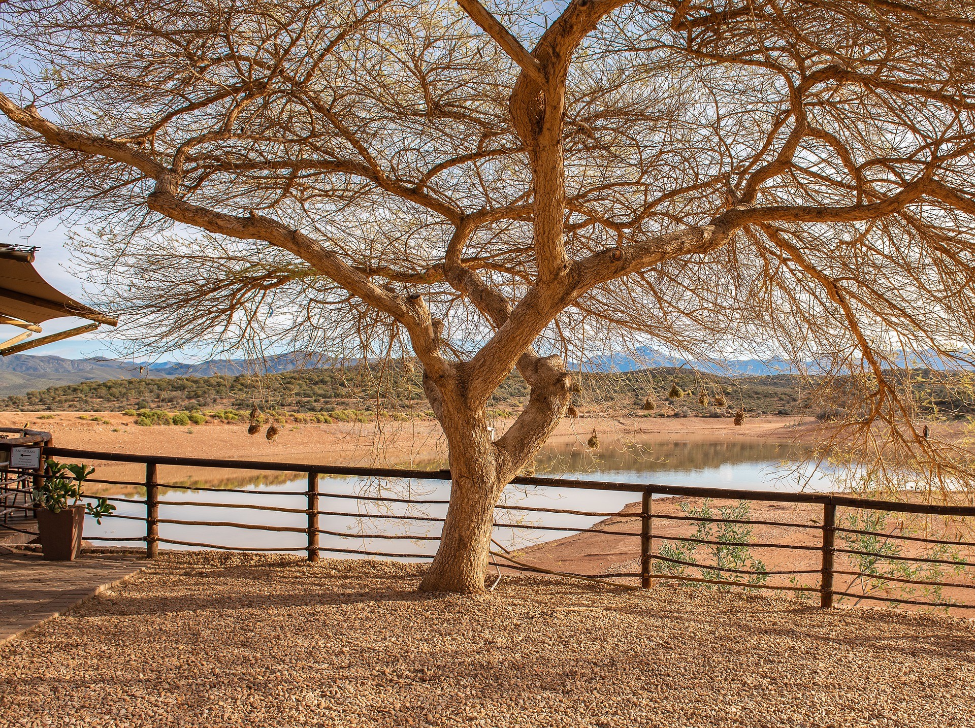 Safari en Tanzania en Tented Camps y Lodges